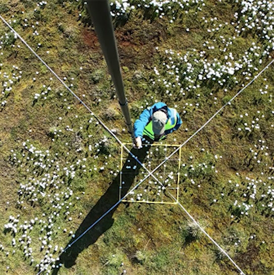 Researchers from RestoMine at field work