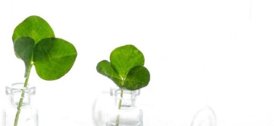 ncbio ethics biotechnology legislation overview
