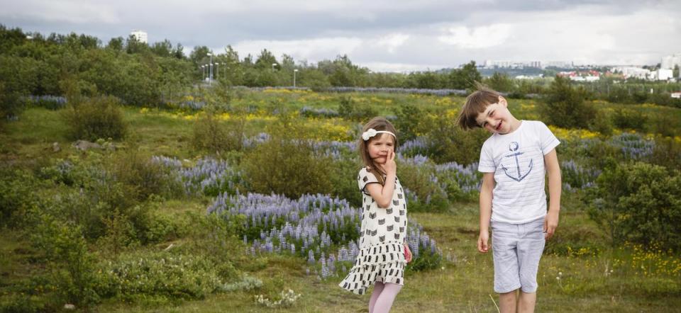 children iceland brother sister