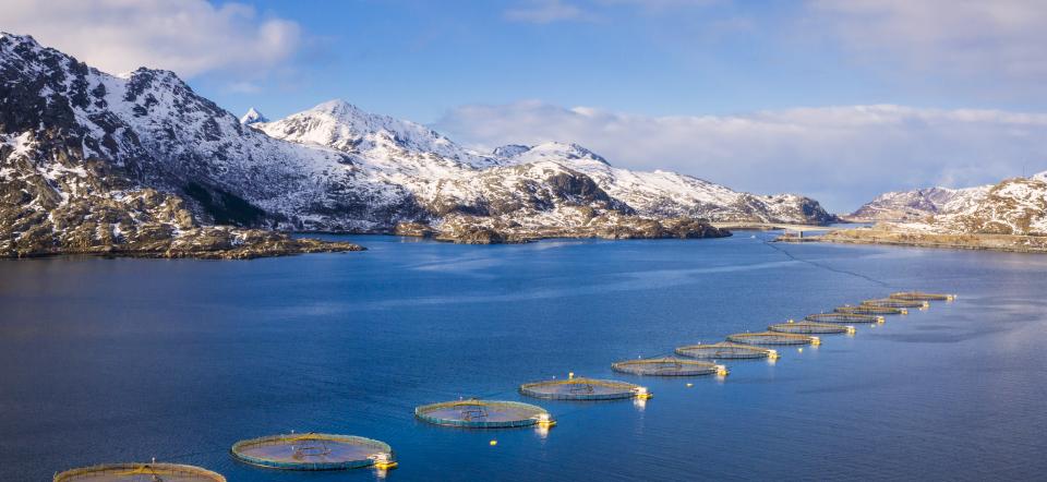 aquaculture production in nothern Norway surrounded my snowy mountains 