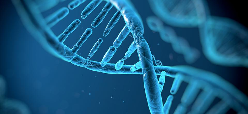 DNA molecule on a blue background
