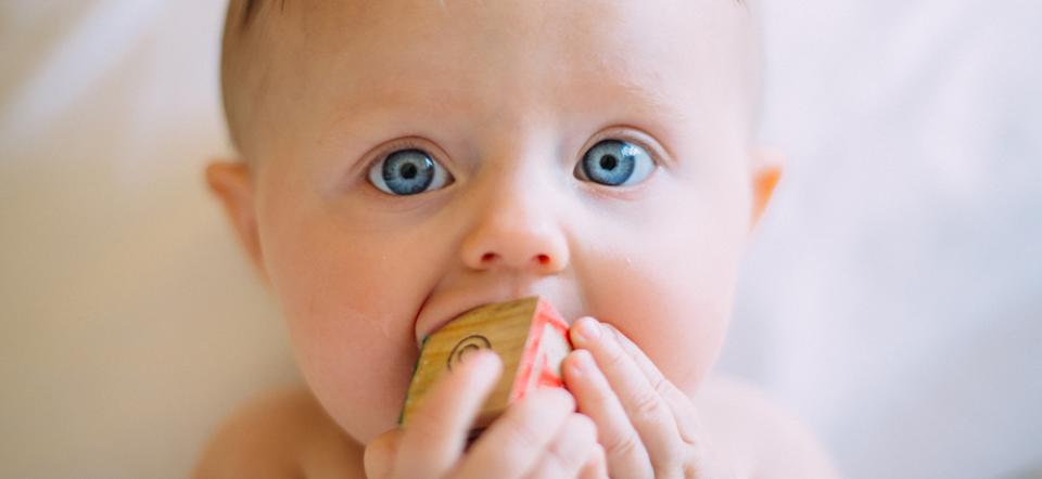 Et spædbarn med legetøj i munden