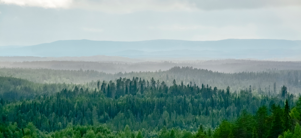 Landskabsbillede fra finsk Lapland