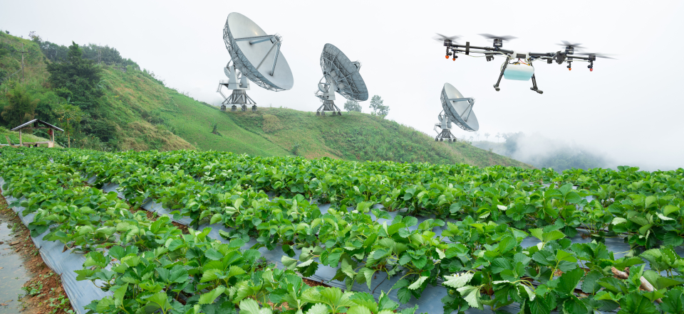 Drone over field