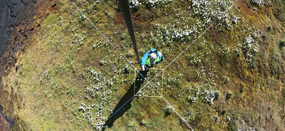 Researchers from RestoMine at field work