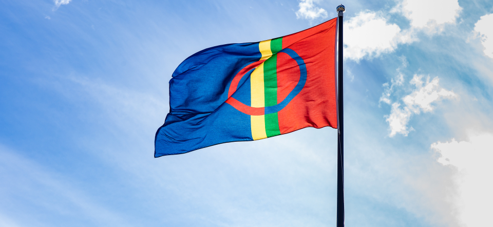 Saami flag