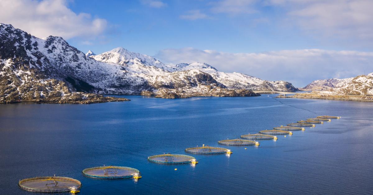 Aquaculture Norway () Aquaculture Norway
