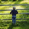 Child stands by a fence and looks at a field